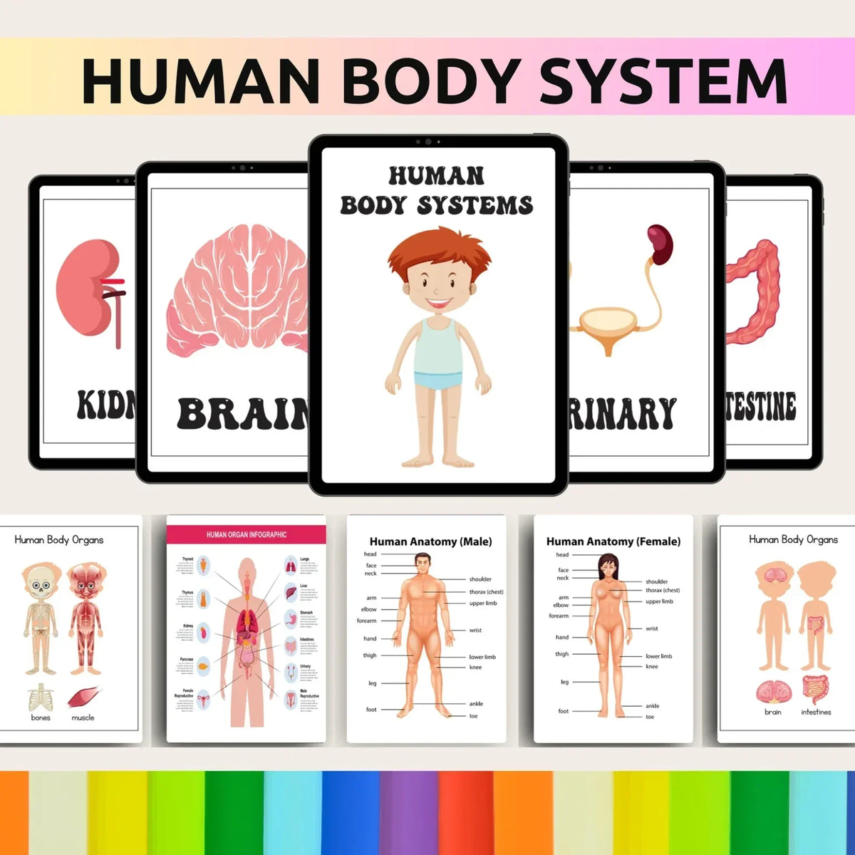 35,000+ Kids Worksheets Bundle | MRR Included