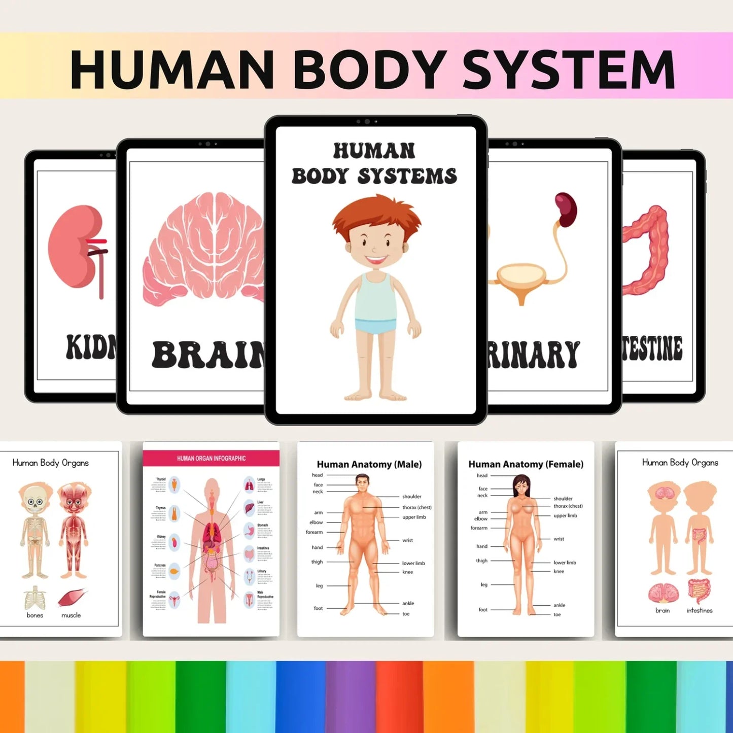 35,000+ Kids Worksheets Bundle | MRR Included